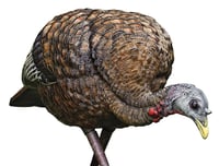 Avian-X AVX8007 8007 LCD Feeder Hen Turkey Decoy, Full Body, Inflatable