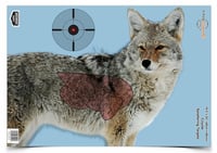 Birchwood Casey 35405 PreGame Coyote 16.5x24 Target 3/Pk