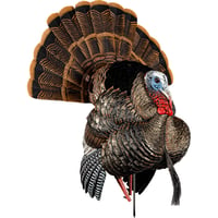 Avian X AVXAVX8108 HDR Strutter Turkey Species Multi Color