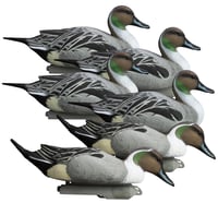 Higdon Outdoors 16544 Battleship Pintail Pintail Species Multi Color Foam Filled 6 Pack