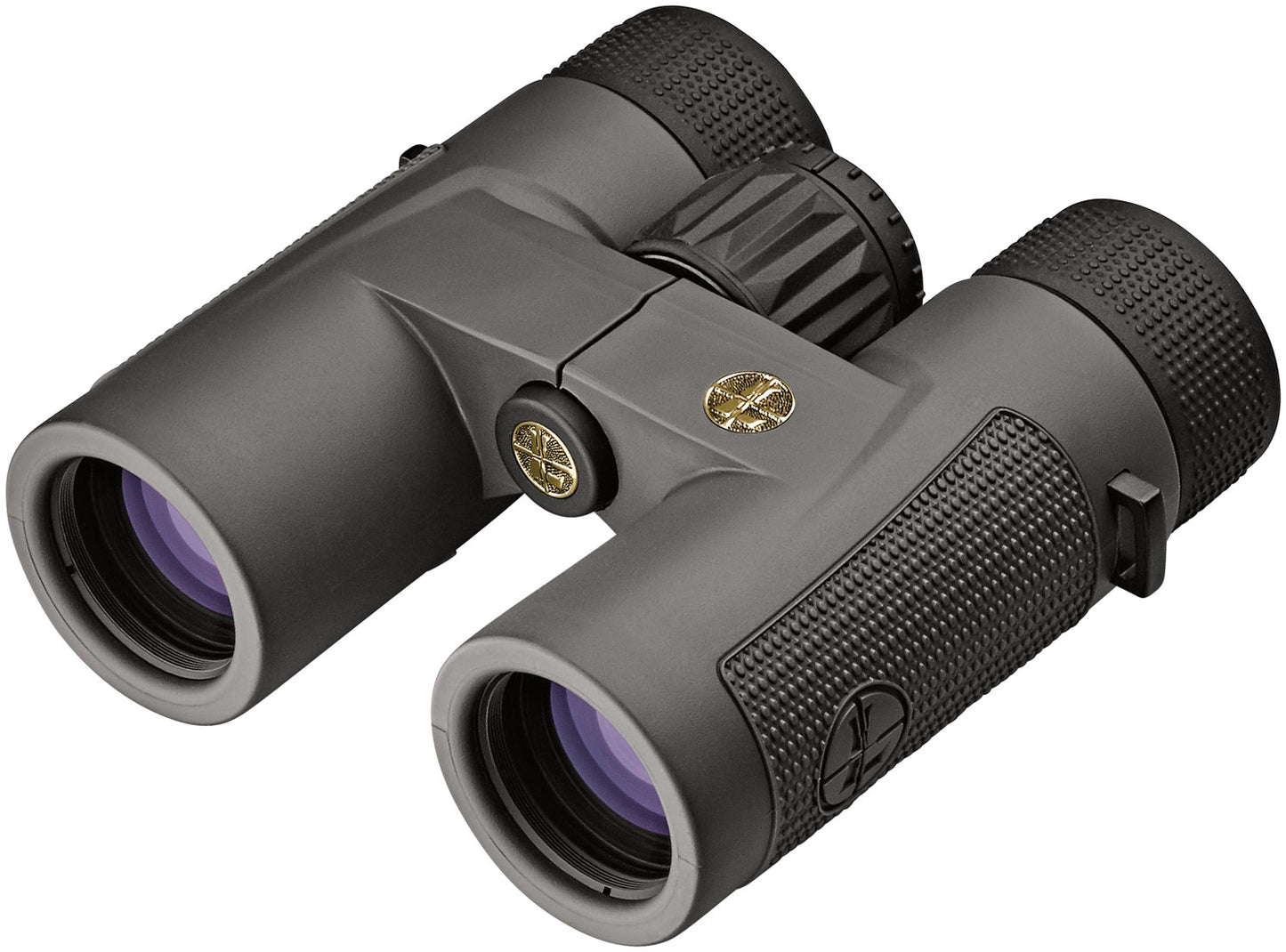 Leupold 174483 BX-5 Santiam HD 10x42mm Gray