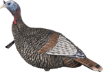 Flextone FLXDY317 Thunder Jake Turkey Decoy