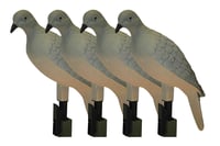 Mojo Outdoors HW9004 Clip On Dove Species Natural Plastic 4 Per Pack