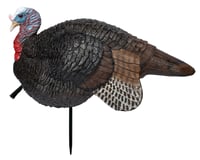 Primos 69074 Lil Gobstopper Jake Turkey Species Multi Color